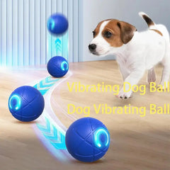 Rolling Ball Dog Toy