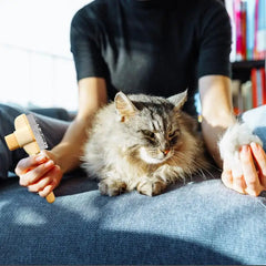 Self Cleaning Pet Flea Comb Grooming Brush