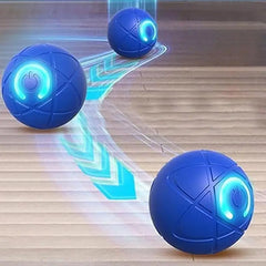 Rolling Ball Dog Toy